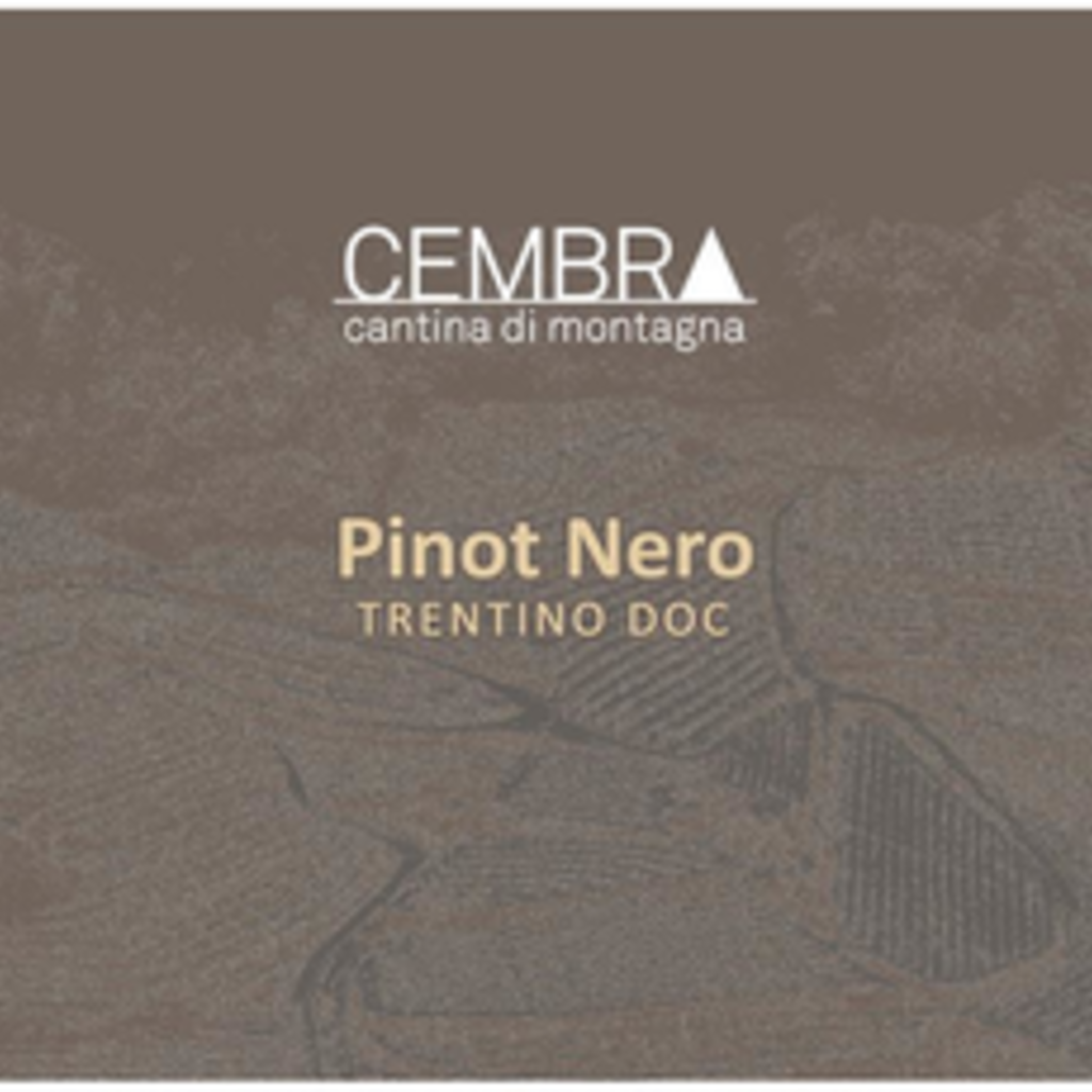 Cembra Pinot Nero Trentino 2020