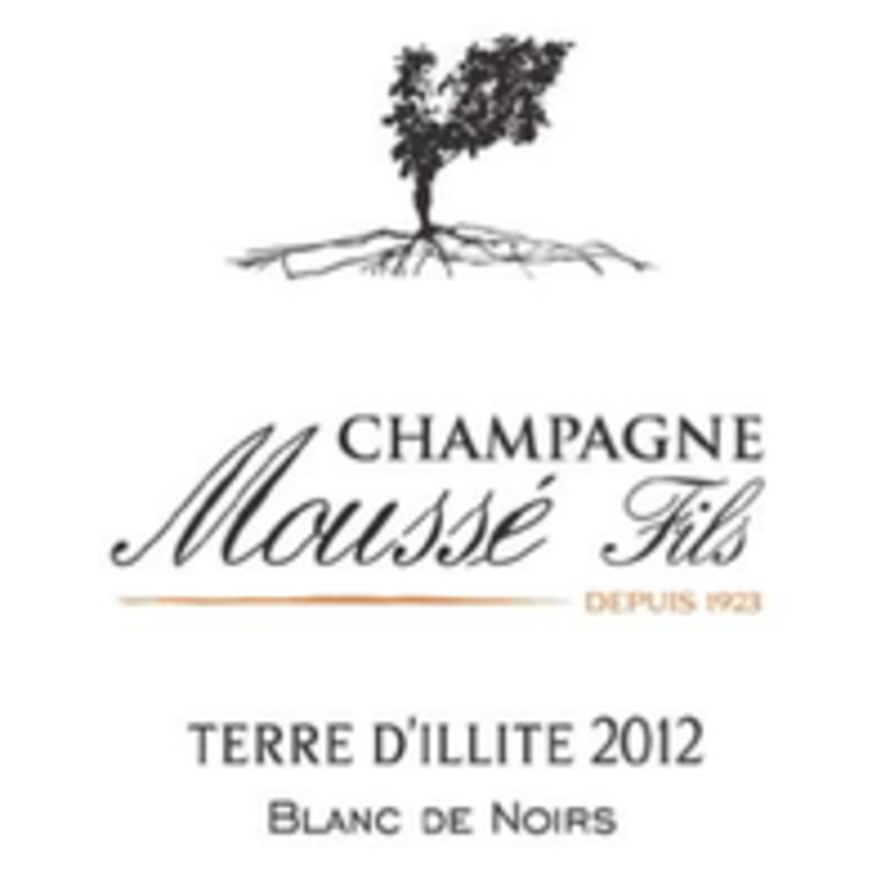 Mousse Fils Champagne Terr d’Illite Brut 2017