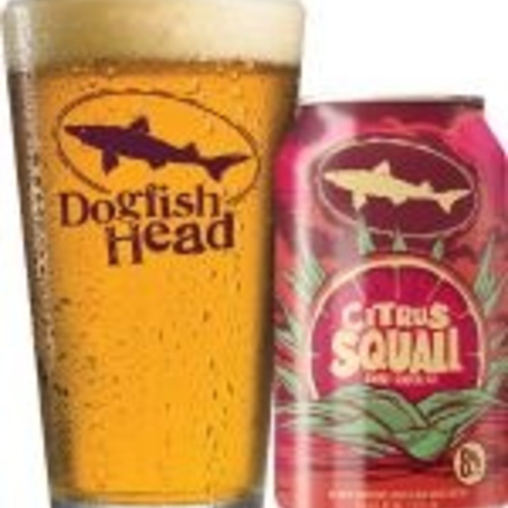 Dogfish Head Citrus Squall Double Golden Ale 6pk