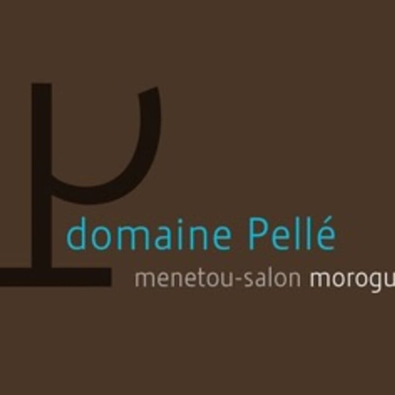 Domaine Pelle Menetou Salon Morgues 2022