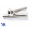 Sapphire Scientific Screw (EA) - For Hoss 700 Moulding Vacuum Inlet (Need 5)