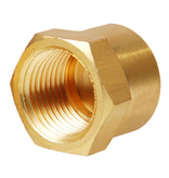 Parker Brass Cap - 1/4
