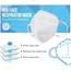 CleanHub Face Mask N95, Case 10 Pack