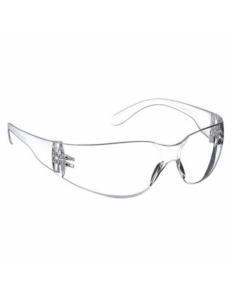 CleanHub Safety Glasses Clear