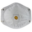 3M 3M® Dust Mask N95 (10PK)