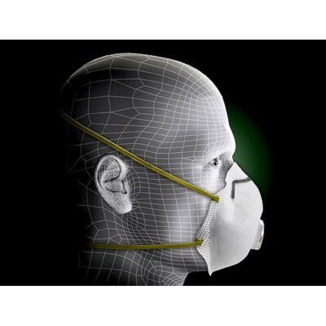 3M 3M® Dust Mask N95 (10PK)