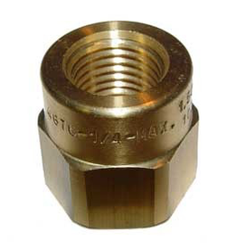 Spraying Systems Adapter - Jet Strainer 1/4” FPT