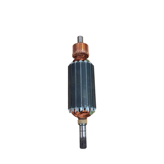 RotoVac ROTOVAC ARMATURE W/HARDENED SHAFT