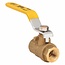 CleanHub 1/4" BRASS BALL VALVE - 250PSI