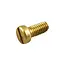 CRB Part - Screw for Protective Plate