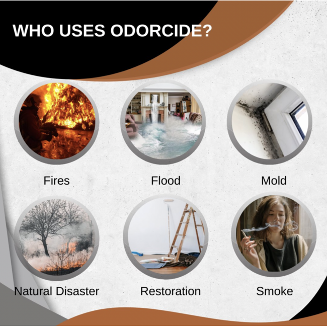 Thornell Corporation Odorcide® 210 Pro Renewal - 1 Gallon