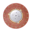 Mytee A146 16″ Pad Driver for ECO17-PRO