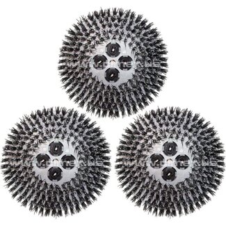 Cimex Cimex | Tynex® Abrasive Brushes (SET OF 3)