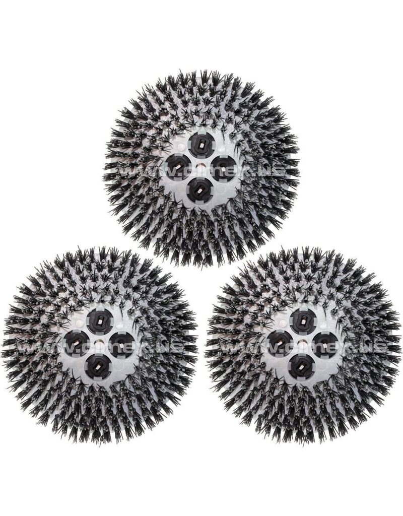 Cimex Cimex | Tynex® Abrasive Brushes (SET OF 3)
