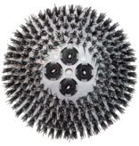 Cimex Cimex | Tynex® Abrasive Brushes (SET OF 3)