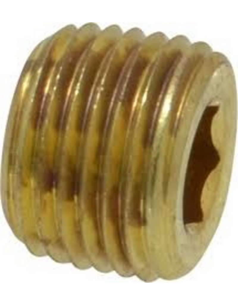 Parker BRASS - 1/8" PLUG - COUNTERSUNK HEX HEAD
