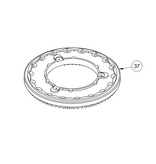 Mytee Pad Driver | Mytee Eco-15