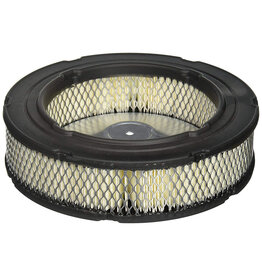 LEGEND BRANDS, INC Filter, Paper Element Kawasaki OE - Legend GT