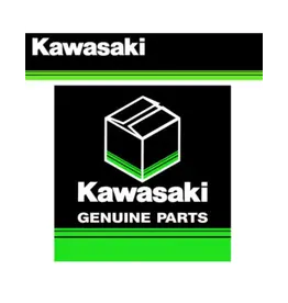 Kawasaki Harness | Peak 500 (26031-2089)