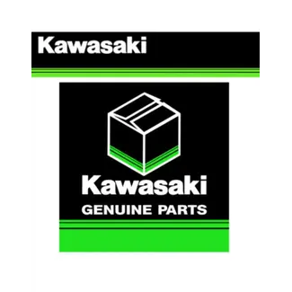 Kawasaki Harness | Peak 500 (26031-2089)