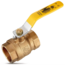 CleanHub 2" BRASS BALL VALVE