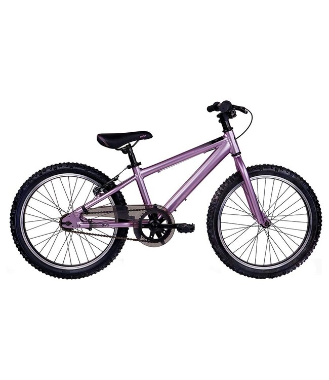 Rock Ridge 20 Bike