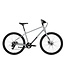 Vélo Indie 4