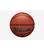 Ballon Basketball NBA Authentic Indoor Outdoor