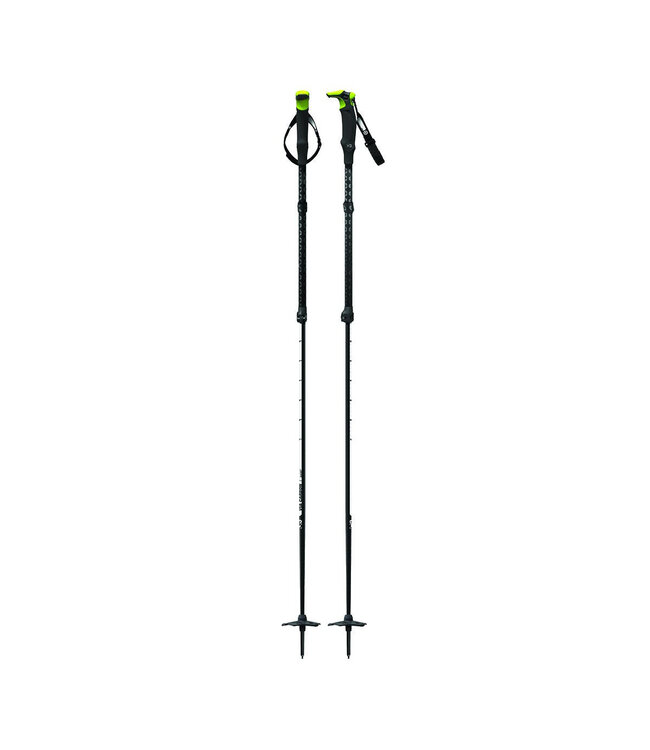 Via Carbon Ski Poles