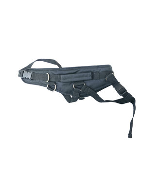Ski Harness