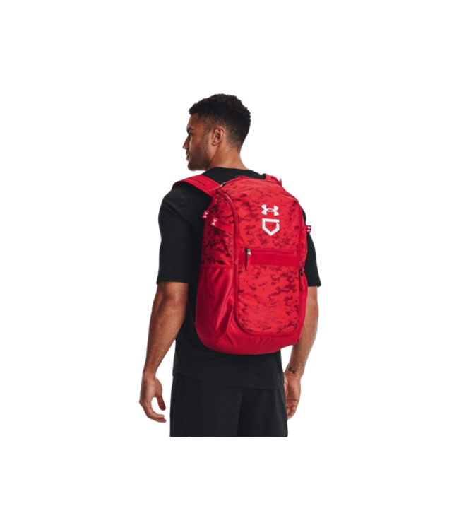 Sac Baseball Utility BP Print