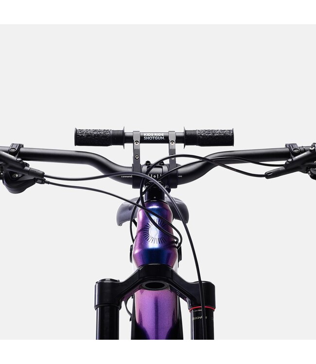 Shotgun Handlebar