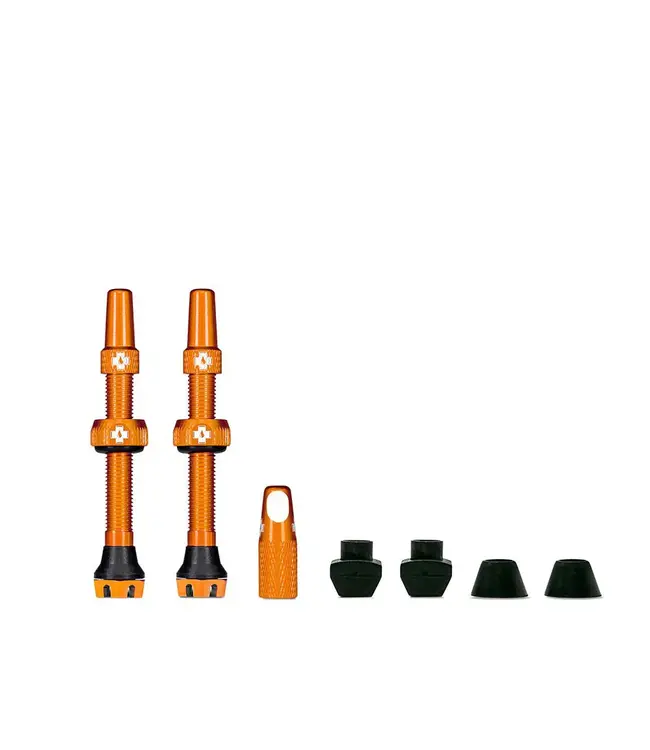 Valves Tubeless V2