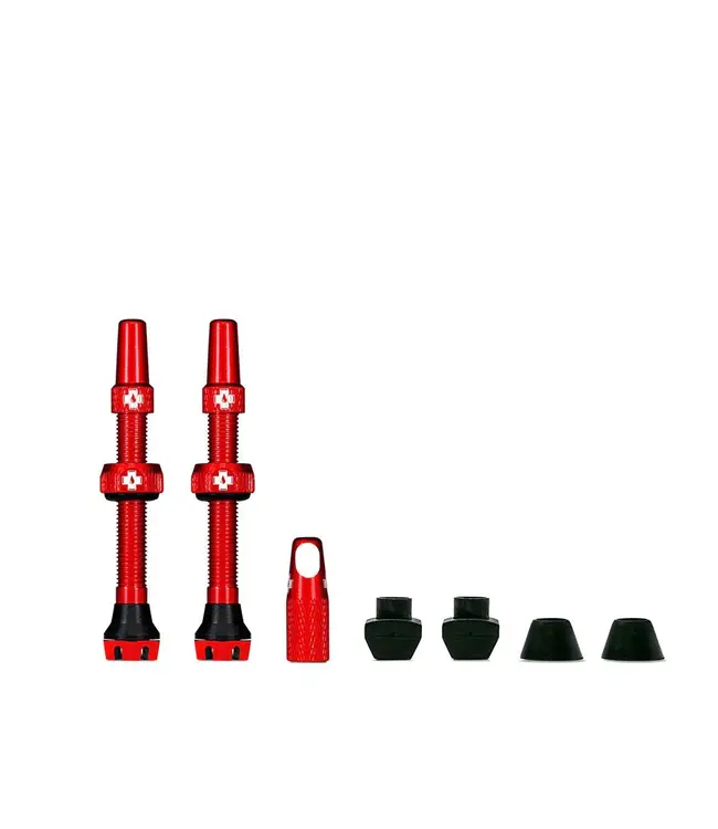 Tubeless V2 Valves