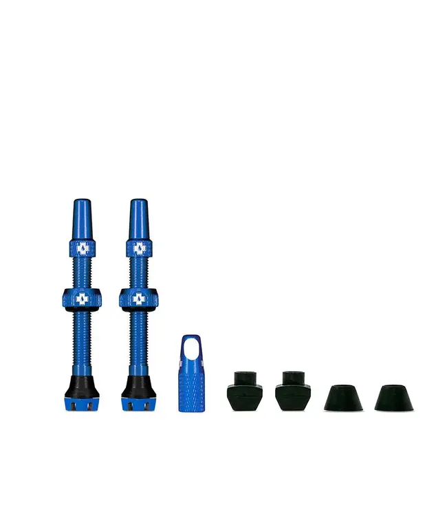 Valves Tubeless V2