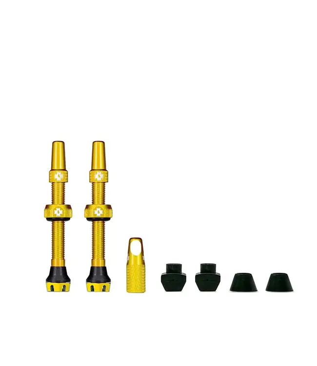 Tubeless V2 Valves
