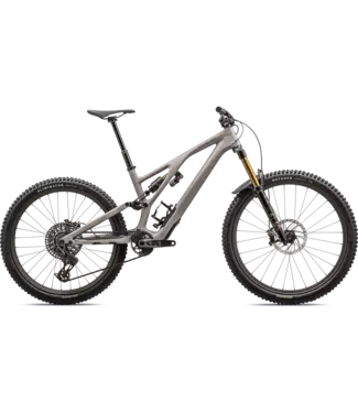 Specialized Stumpjumper EVO Pro T-Type Bike