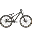 P.2 2024 Bike