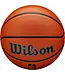 Ballon Basketball NBA Authentic Series Extérieur