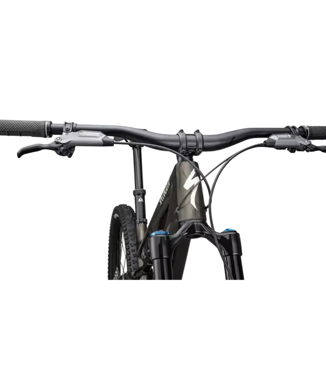 Stumpjumper 15 Expert 2025