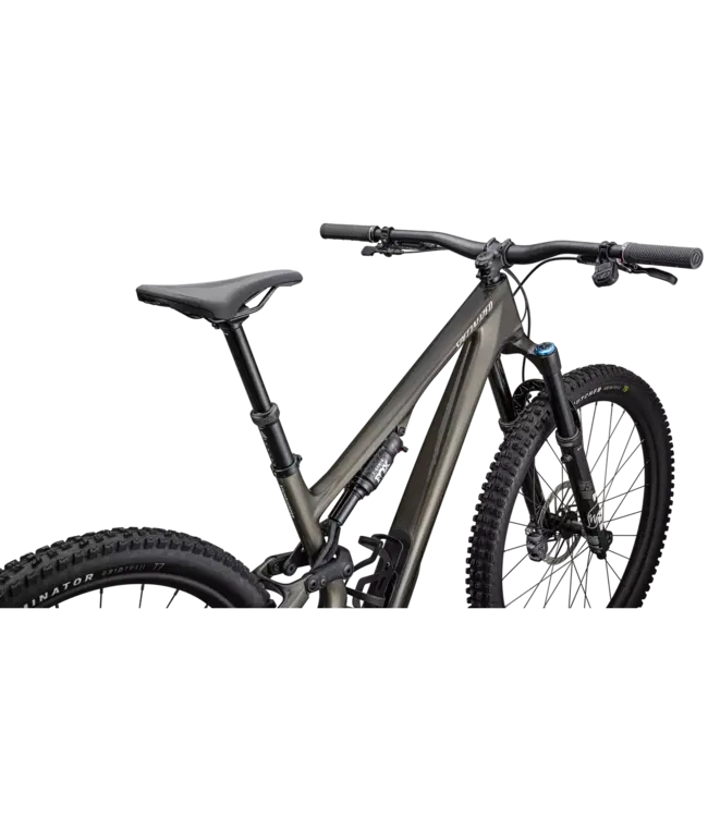 Stumpjumper 15 Expert 2025