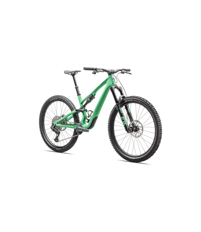 Stumpjumper 15 Expert 2025