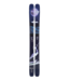 Arv 100 Skis 2025