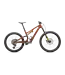 Stumpjumper 15 Ohlins Coil bike 2025