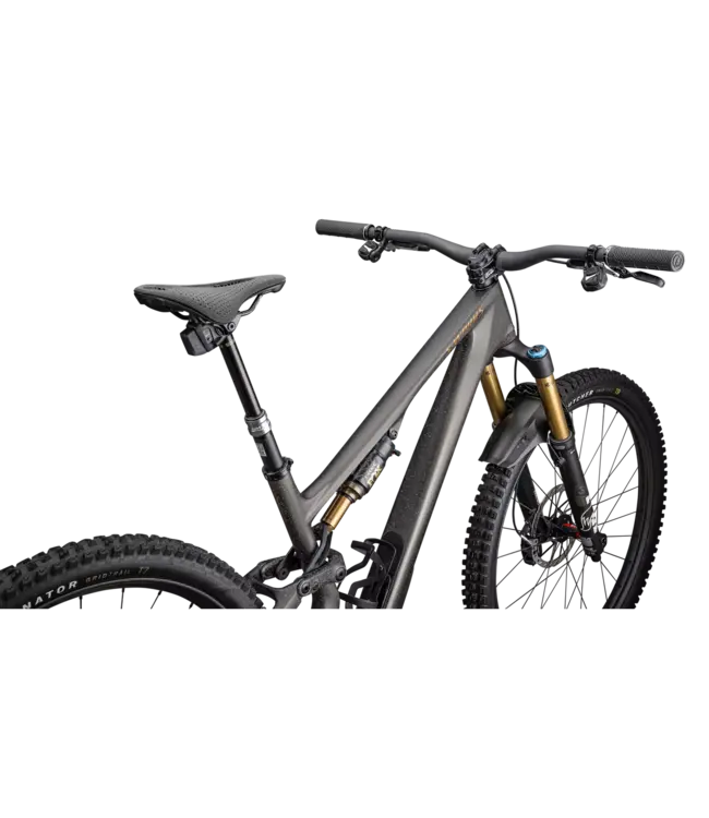 S-Works Stumpjumper 15 Bike 2025