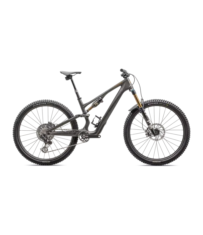 S-Works Stumpjumper 15 Bike 2025