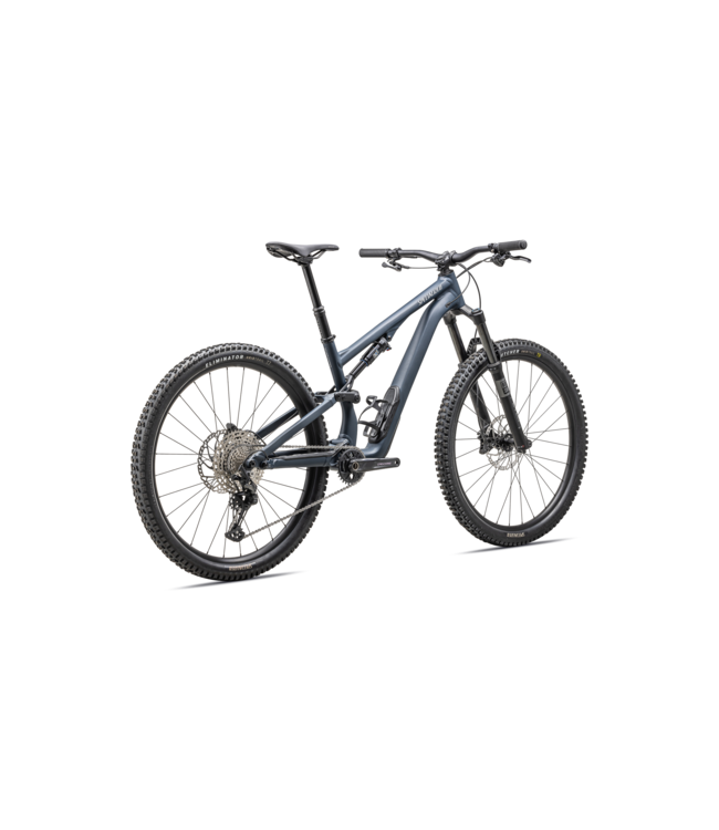 Stumpjumper 15 Alloy Bike