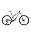 Stumpjumper 15 Alloy Bike