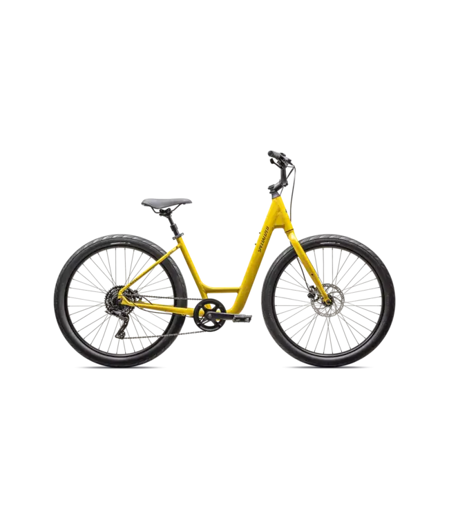 Vélo Roll 3.0 Low Entry 2025