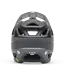 Proframe Rizer Helmet